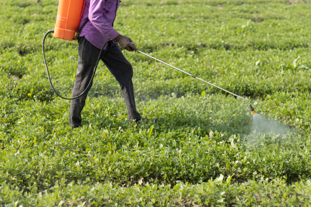 Fertilizer